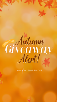 Autumn Giveaway Alert Instagram Reel Design