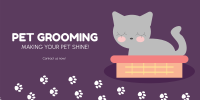 Pet Groomer Twitter Post