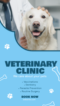 Professional Veterinarian Clinic Instagram Story