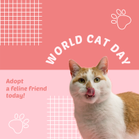 World Cat Day Adoption Instagram Post