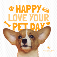 Wonderful Love Your Pet Day Greeting Linkedin Post