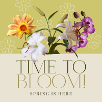 Bloom Spring Greeting Instagram Post Design