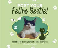 Cat Appreciation Post Facebook Post