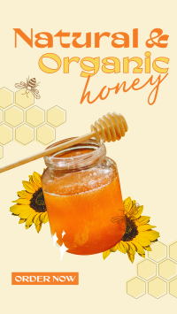 Delicious Organic Pure Honey Instagram Story