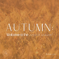 Warm Autumn Greetings Instagram Post