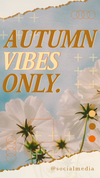 Autumn Vibes Greeting Facebook Story Design