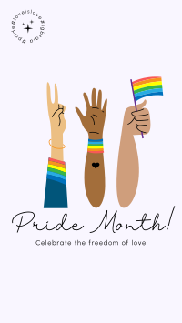 Pride Advocates Facebook Story Design