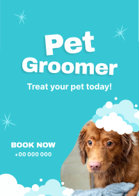 Professional Pet Groomer Flyer