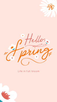 Hello Spring Greeting TikTok Video