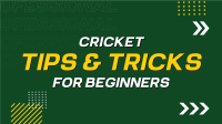 Cricket Lessons YouTube Video example 2