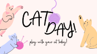 Cat Playtime Video