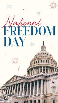 Freedom Day Fireworks Instagram Story