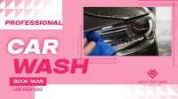 Professional Car Wash Services Video