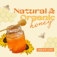 Delicious Organic Pure Honey Instagram Post