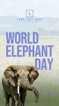 World Elephant Day Instagram Story