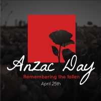 Anzac Remembrance Linkedin Post Design