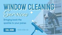 Sparkling Window Cleaning Video