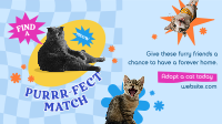Adopt a Cat Animation