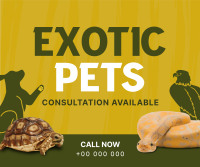 Exotic Vet Consultation Facebook Post