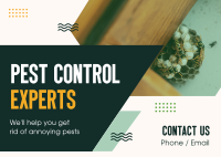 Pest Control Experts Postcard