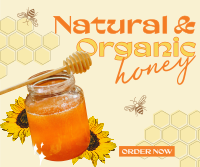 Delicious Organic Pure Honey Facebook Post