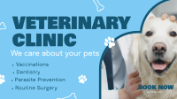 Professional Veterinarian Clinic Video