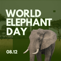 World Elephant Celebration Instagram Post