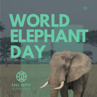 World Elephant Celebration Instagram Post Image Preview