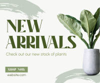Minimalist Plant Alert Facebook Post