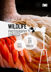 Wildlife Photography Contest Flyer