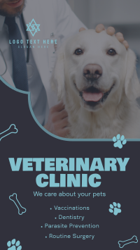 Professional Veterinarian Clinic Video