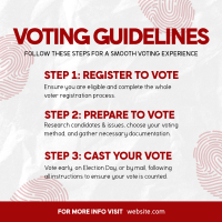 Election Voting Guidelines Instagram Post