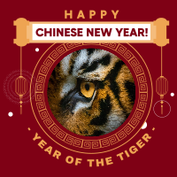 Year of the Tiger 2022 Linkedin Post