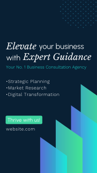 Your No. 1 Business Consultation Agency TikTok Video