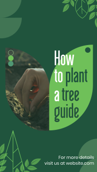 Plant Trees Guide YouTube Short