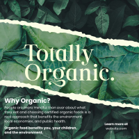 Totally Organic Instagram Post Design