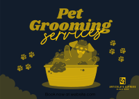 Dog Bath Grooming Postcard