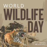 Wildlife Conservation Instagram Post