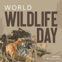 Wildlife Conservation Instagram Post Design