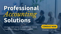 Professional Accounting Solutions Video