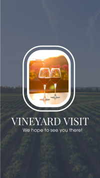 Vineyard Tour Facebook Story