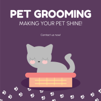 Pet Groomer Instagram Post