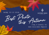 Autumn Customer Engagement Postcard Image Preview