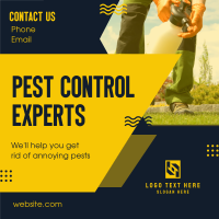 Pest Control Experts Linkedin Post Design