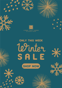 Decorative Winter Sale Poster