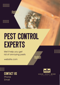 Pest Control Experts Flyer