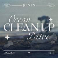 Y2K Ocean Clean Up Linkedin Post Design