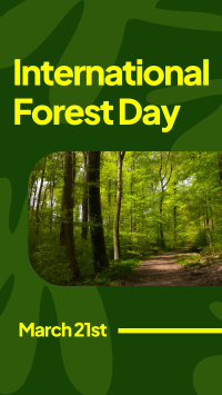 Forest Day Greeting Facebook Story