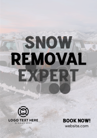 Snow Removal Expert Flyer