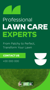 Expert Lawn Care Professional TikTok Video